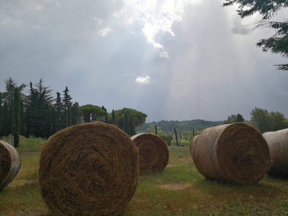 Masseria Le Querciole Fauglia Zewnętrze zdjęcie