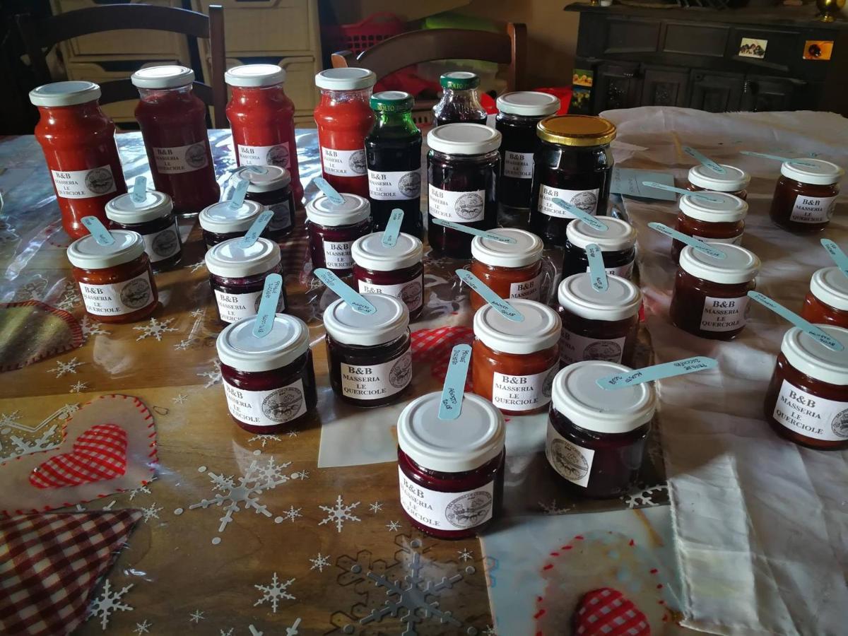 Masseria Le Querciole Fauglia Zewnętrze zdjęcie