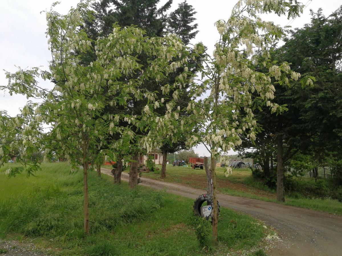 Masseria Le Querciole Fauglia Zewnętrze zdjęcie