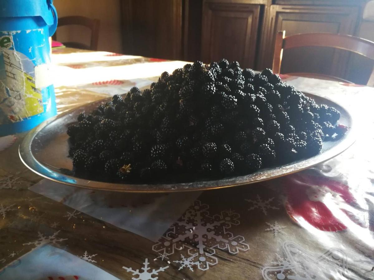 Masseria Le Querciole Fauglia Zewnętrze zdjęcie