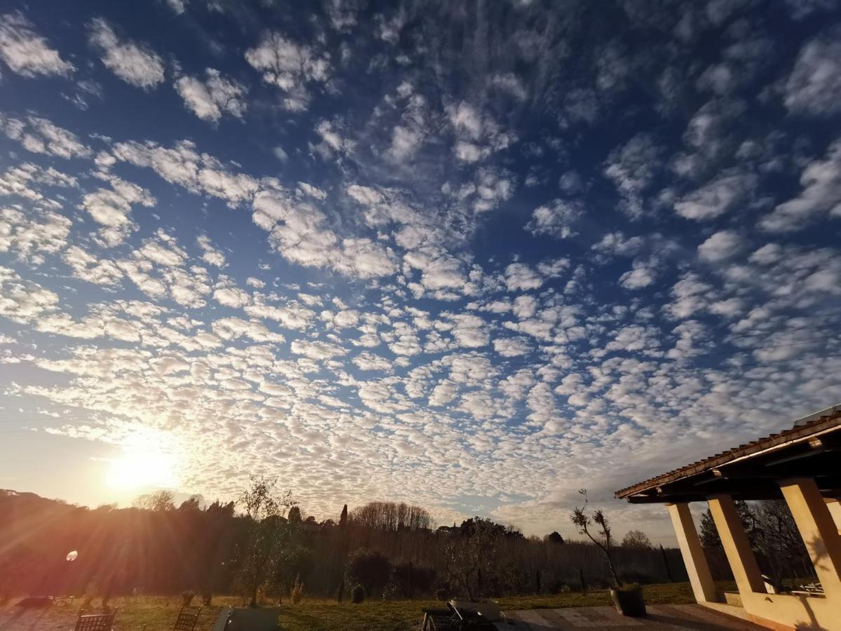 Masseria Le Querciole Fauglia Zewnętrze zdjęcie