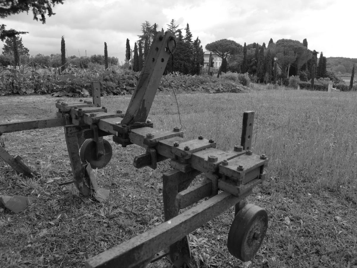 Masseria Le Querciole Fauglia Zewnętrze zdjęcie