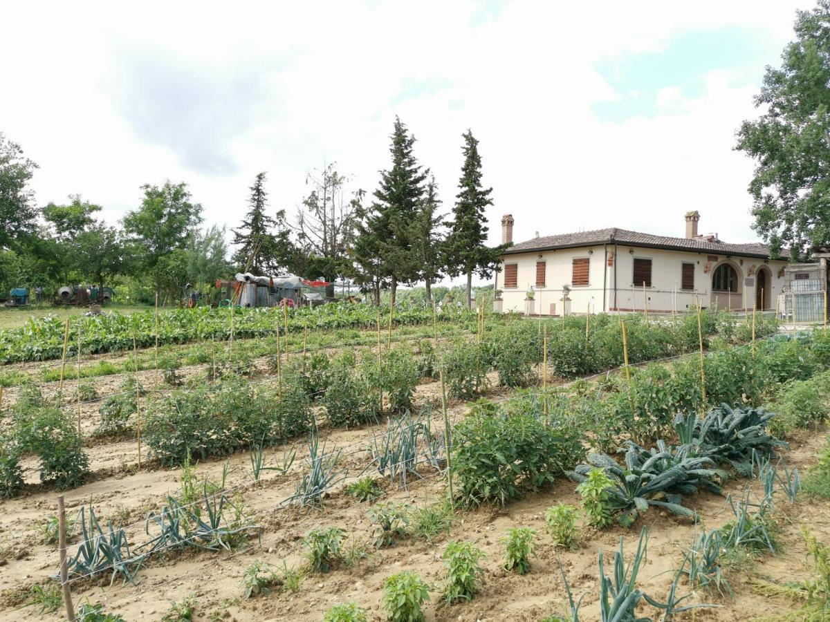 Masseria Le Querciole Fauglia Zewnętrze zdjęcie