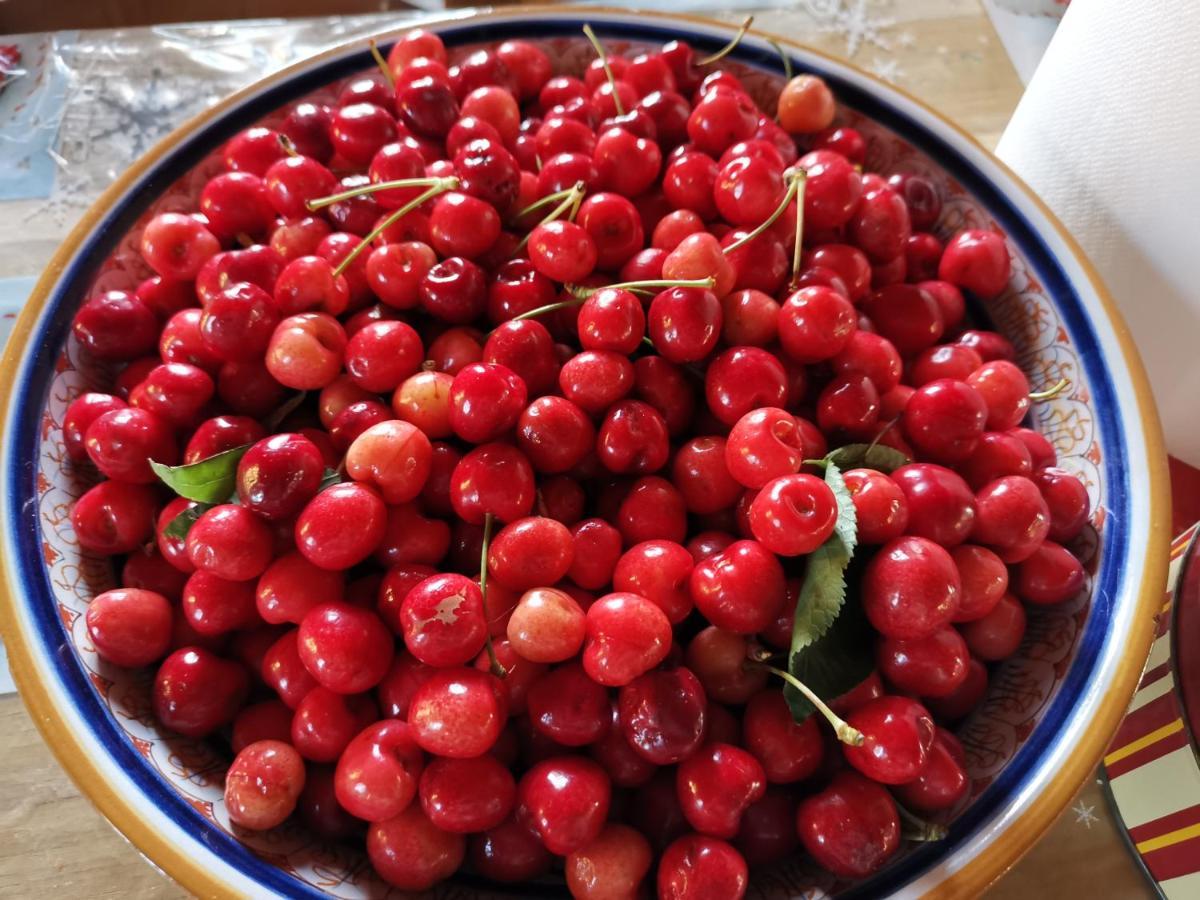 Masseria Le Querciole Fauglia Zewnętrze zdjęcie