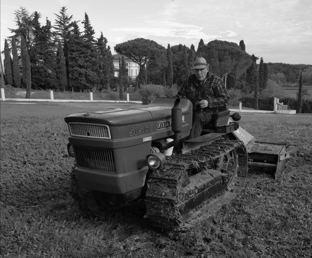 Masseria Le Querciole Fauglia Zewnętrze zdjęcie