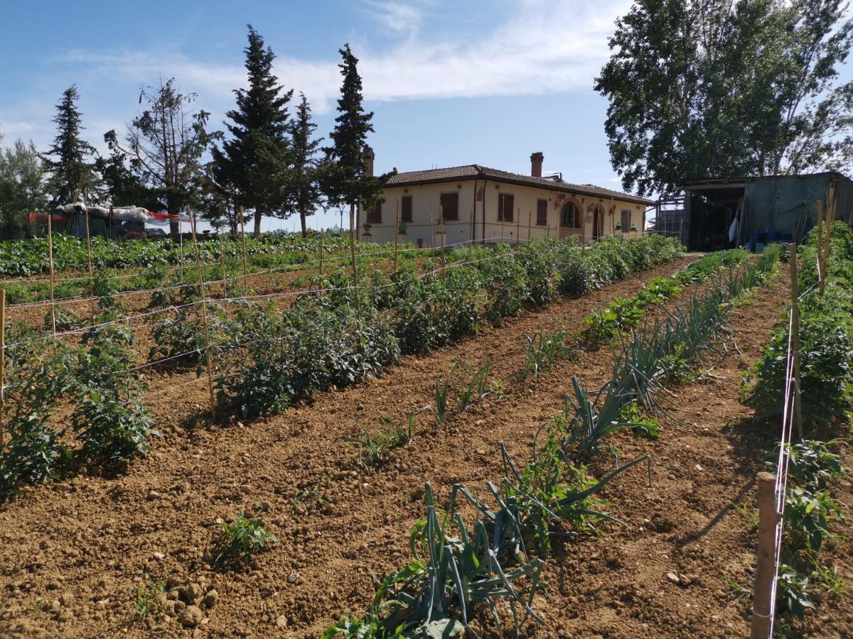 Masseria Le Querciole Fauglia Zewnętrze zdjęcie